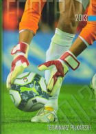 Terminarz Piłkarski 2013