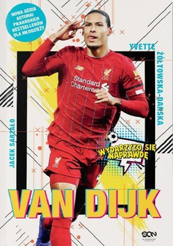Van Dijk. Holenderska siła